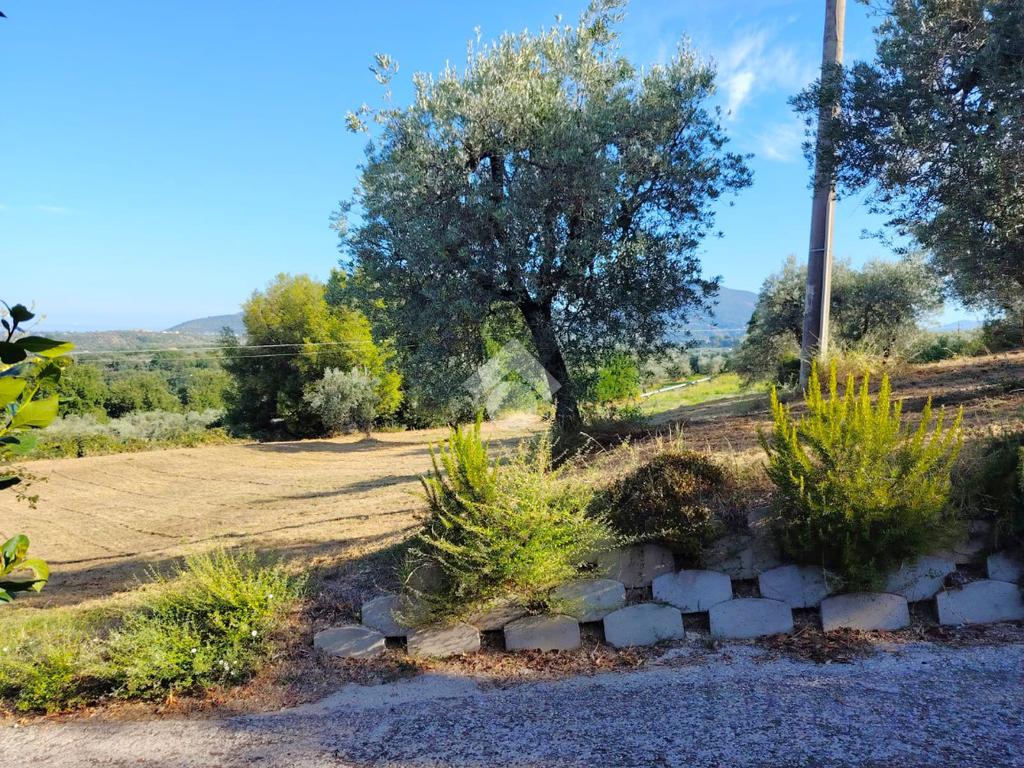 Terrain à Torri in Sabina, Italy 8270m² No. 291918