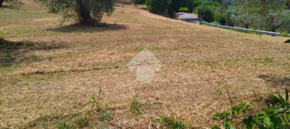 Terrain à Torri in Sabina, Italy 8270m² No. 291918 4