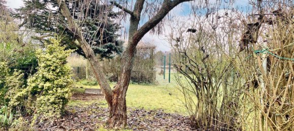 3 rooms Townhouse in Brandenburg, Germany No. 11725 11