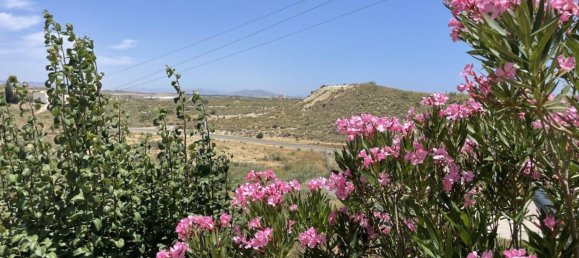 4 bedrooms Villa in Los Gallardos, Spain No. 151275 42