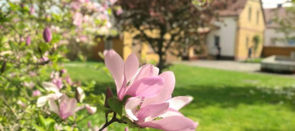 Moradia em banda T4 em Anhalt-Bitterfeld, Germany N.º 262421 10