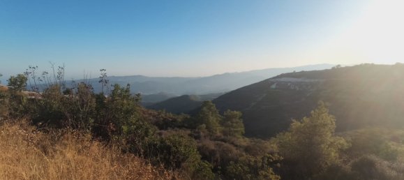 29089 m² terreno en venta en Vavla, Larnaka, Cyprus № 181263 3