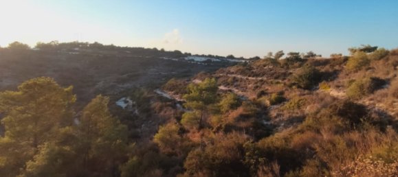 29089 m² terreno en venta en Vavla, Larnaka, Cyprus № 181263 6
