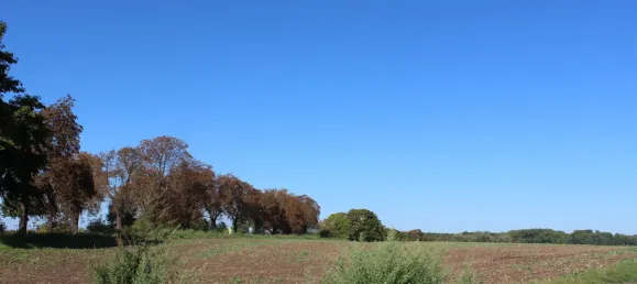Grundstück in Oberhavel, Germany, Nr. 286593 34