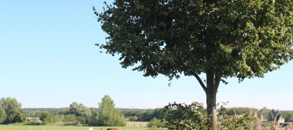 Grundstück in Oberhavel, Germany, Nr. 286593 13