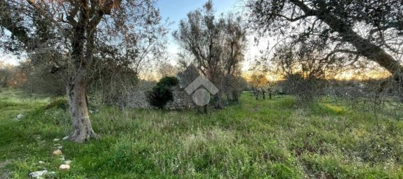 2 bedrooms House in Ceglie Messapica, Italy No. 138246 37