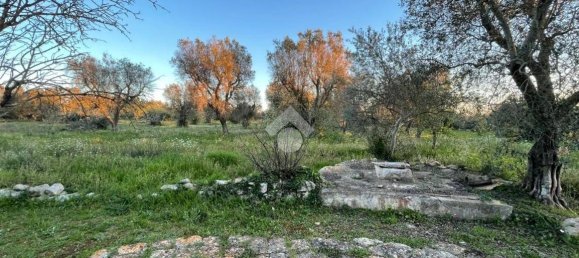 2 bedrooms House in Ceglie Messapica, Italy No. 138246 30