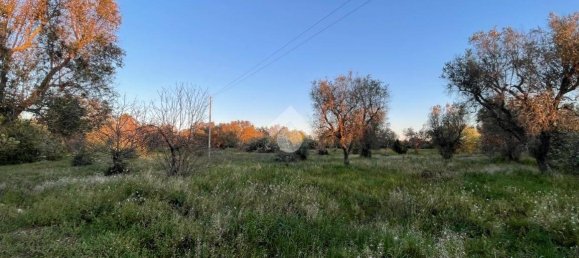 2 bedrooms House in Ceglie Messapica, Italy No. 138246 39