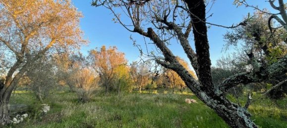 2 bedrooms House in Ceglie Messapica, Italy No. 138246 35