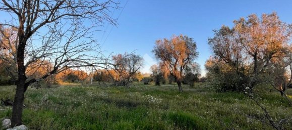 2 bedrooms House in Ceglie Messapica, Italy No. 138246 40