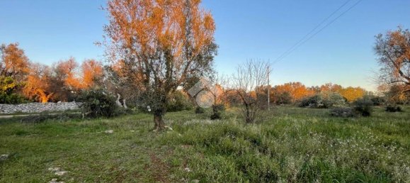 2 bedrooms House in Ceglie Messapica, Italy No. 138246 36