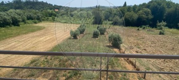 4 Schlafzimmer Haus in Pombal, Portugal, Nr. 170063 3