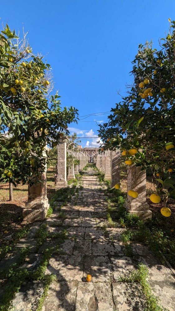 4 bedrooms Hotel in Zurrieq, Malta No. 2542