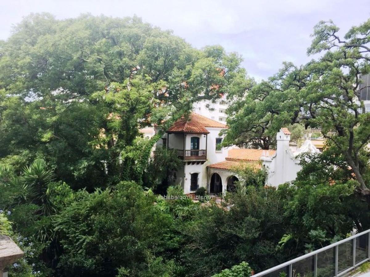 Studio in Montevideo, Uruguay No. 11081