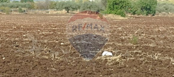 1 chambre Maison à Chiaramonte Gulfi, Italy No. 356185 5