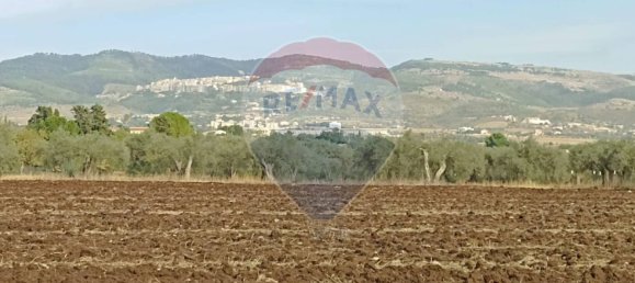 1 chambre Maison à Chiaramonte Gulfi, Italy No. 356185 20