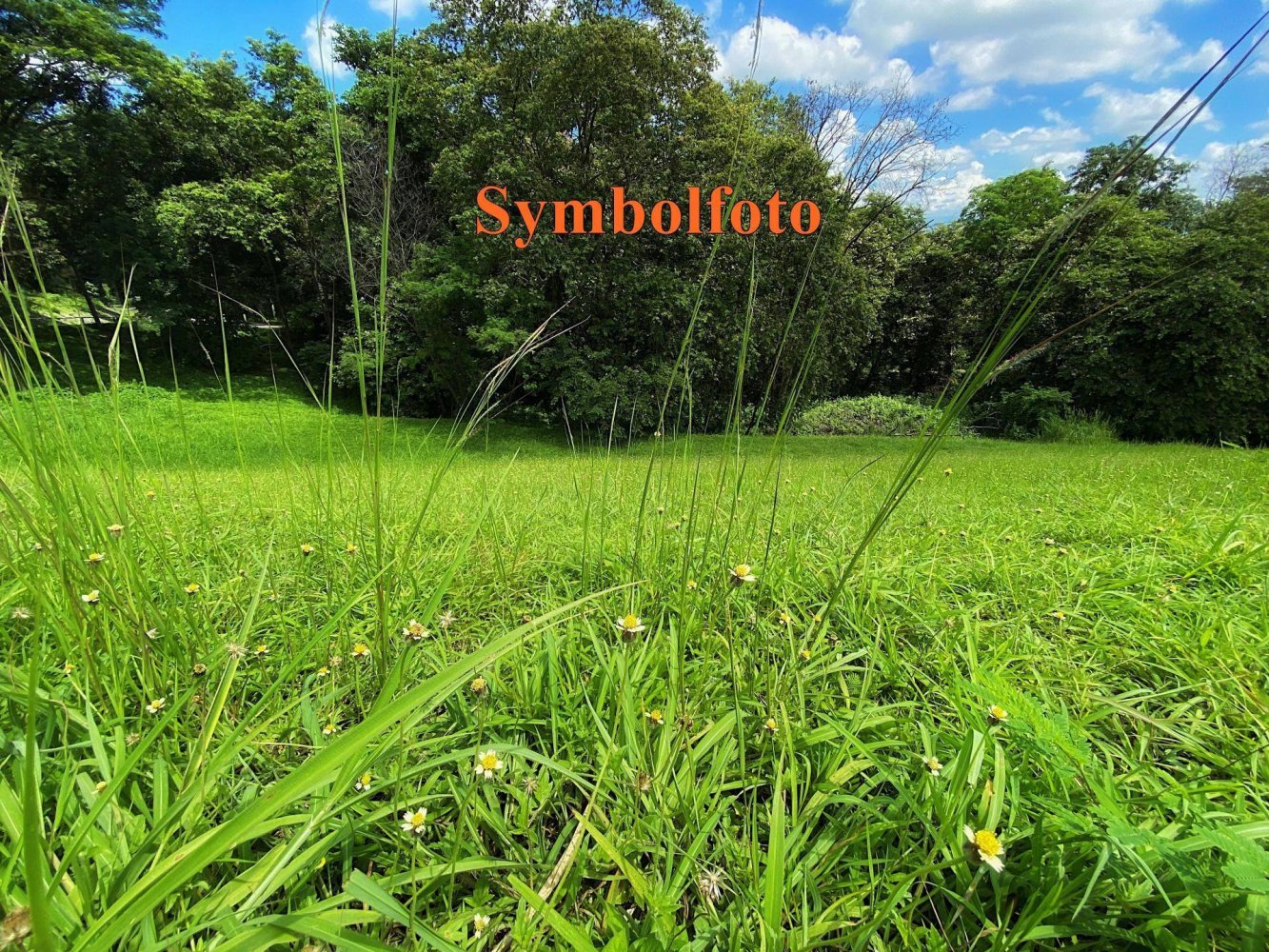 890m² Land in Ostermiething, Austria No. 249714