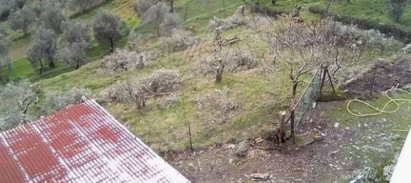 Дом с 3 спальнями в Мондин ди Башту, Португалия № 184483 17