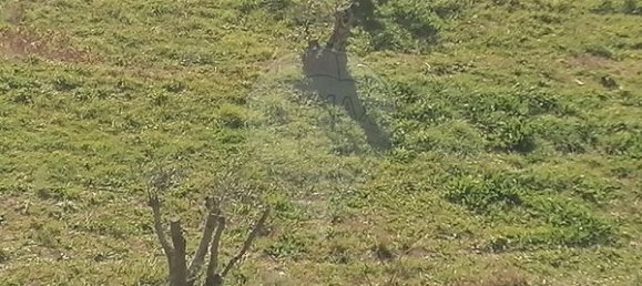 Дом с 3 спальнями в Мондин ди Башту, Португалия № 184483 12