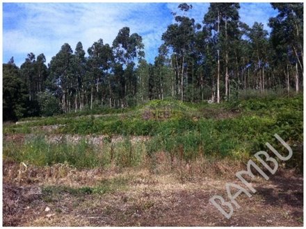 6720m² Land in Caminha, Portugal No. 51603