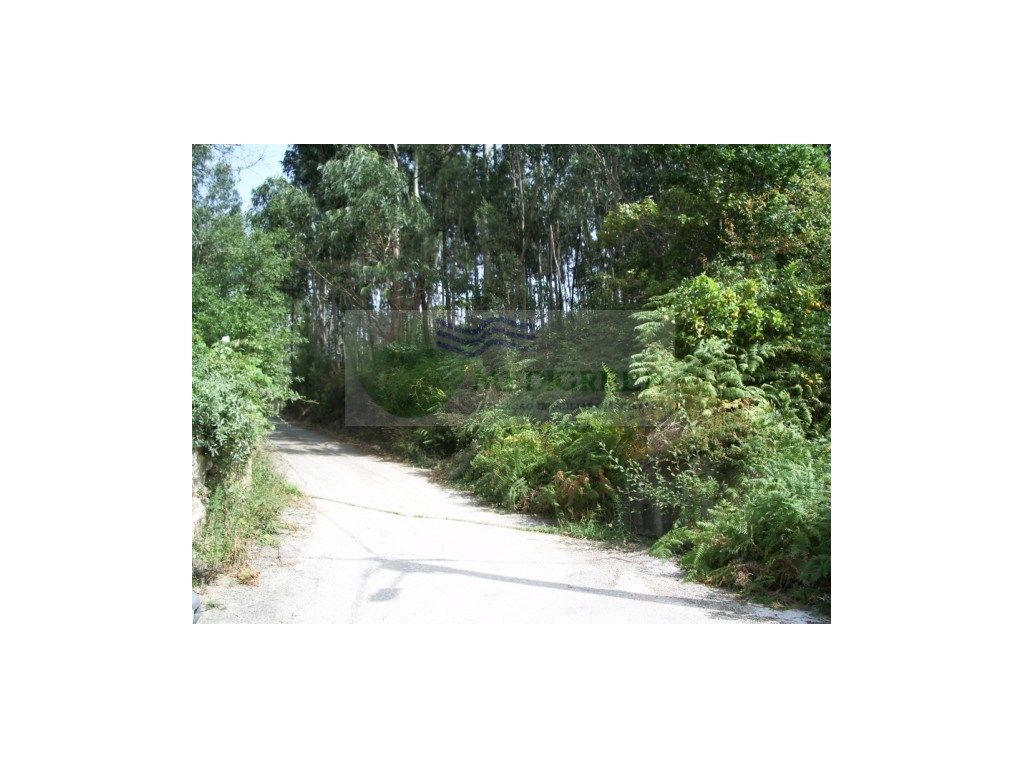 Terreno en Pessegueiro do Vouga, Portugal 1300 m² No. 255638