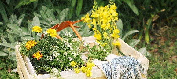 Gewerbliche Immobilie in Appignano, Italy 175m², Nr. 362425 10