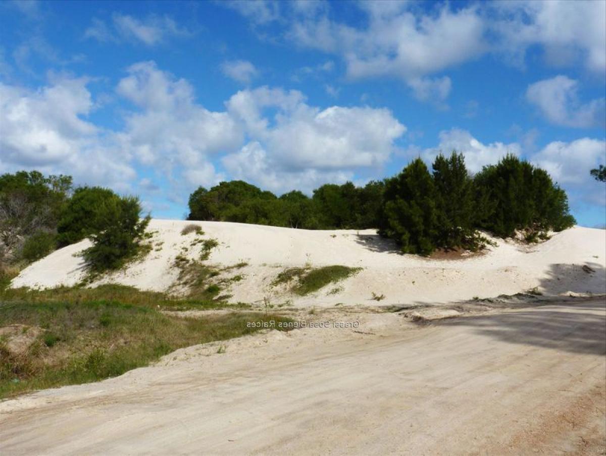 Земельный участок в Канелонес, Уругвай № 14742