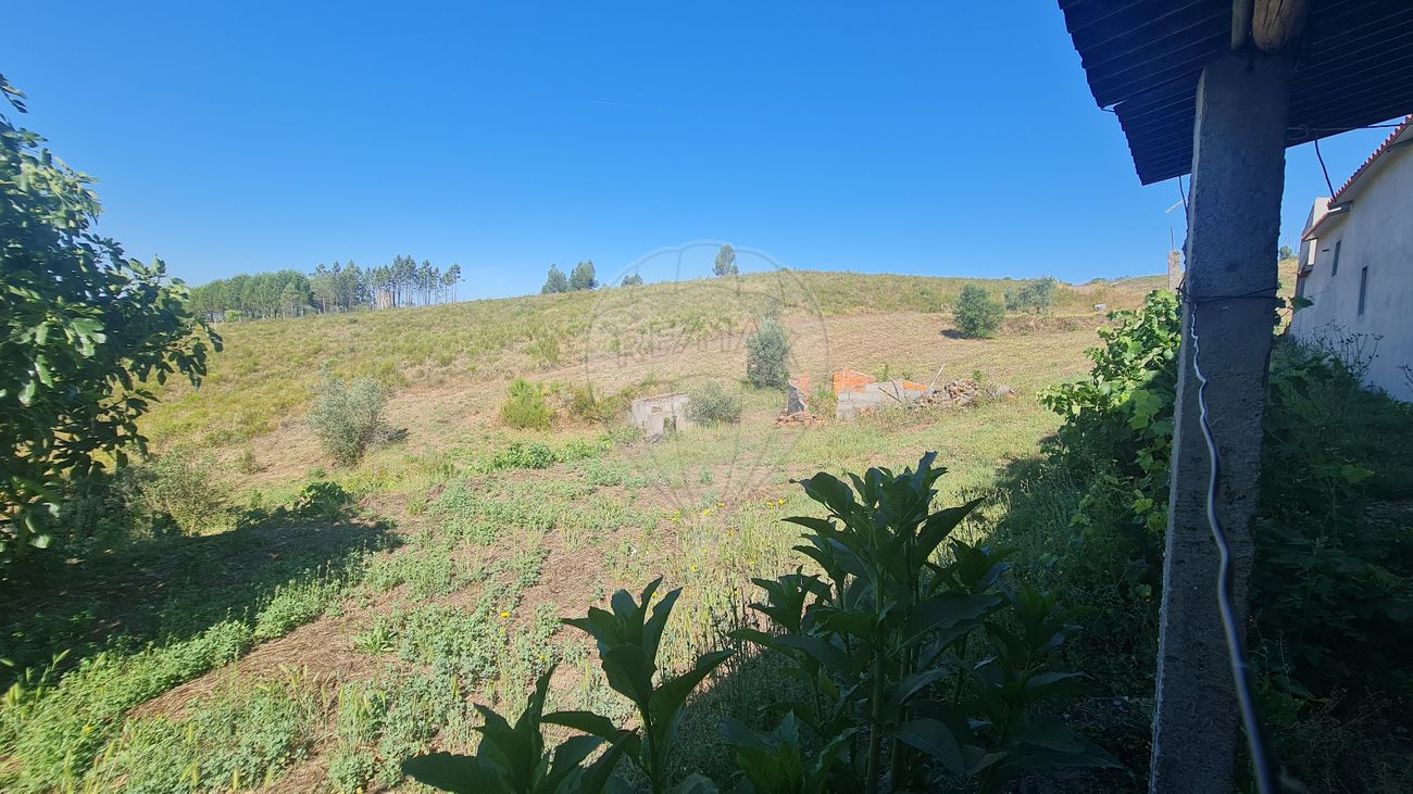 7 Schlafzimmer Haus in Cardigos, Portugal, Nr. 171178