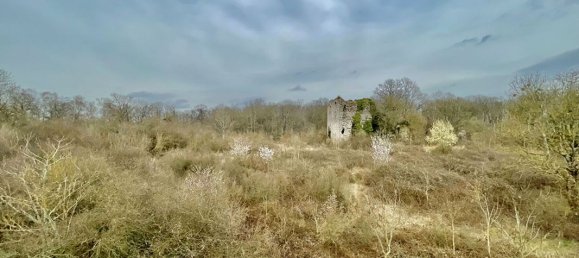 3 bedrooms Duplex in Saint-Witz, France No. 186370 6