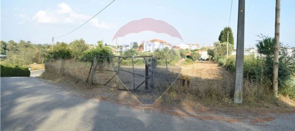  قطعة أرض في Tabua, Portugal 759متر مربع رقم 62176 3