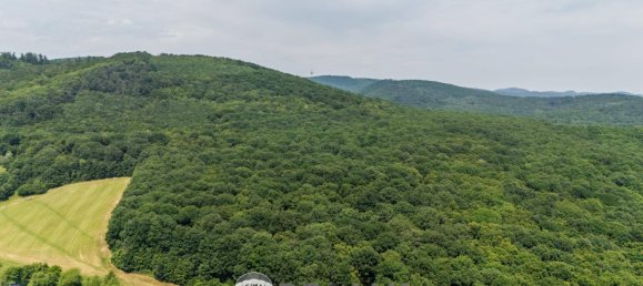 5 rooms House in Enzesfeld-Lindabrunn, Austria No. 224600 12