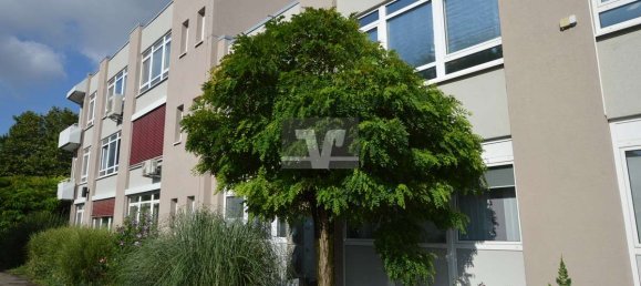 Здание 2298м² в Мангейм, Германия № 85886 2