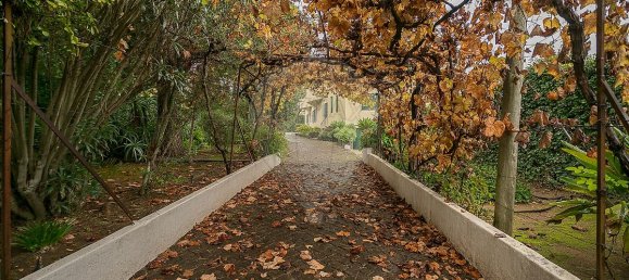 6 bedrooms House in Cascais, Portugal No. 43084 25