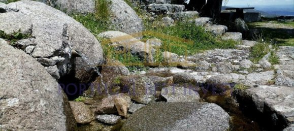 Terrain à Monchique, Portugal 96880m² No. 89957 12