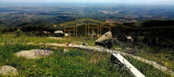 Terrain à Monchique, Portugal 96880m² No. 89957 29
