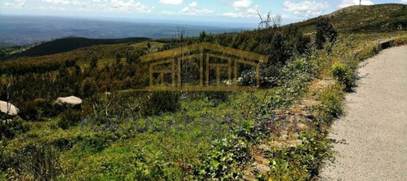 Terrain à Monchique, Portugal 96880m² No. 89957 26