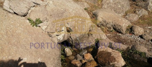 Terrain à Monchique, Portugal 96880m² No. 89957 10