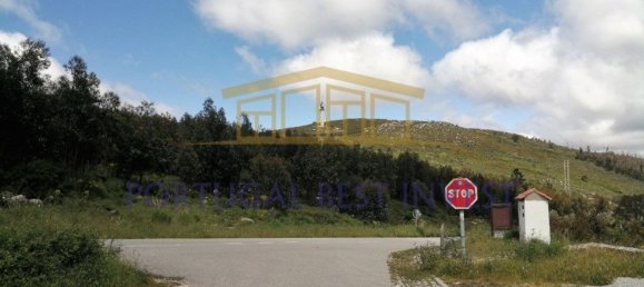 Terrain à Monchique, Portugal 96880m² No. 89957 22