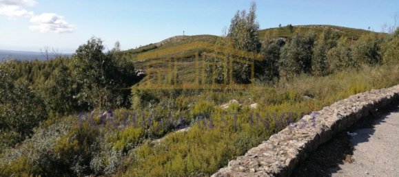 Terrain à Monchique, Portugal 96880m² No. 89957 3