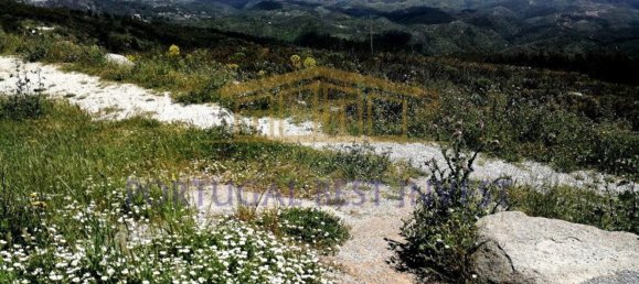 Terrain à Monchique, Portugal 96880m² No. 89957 33