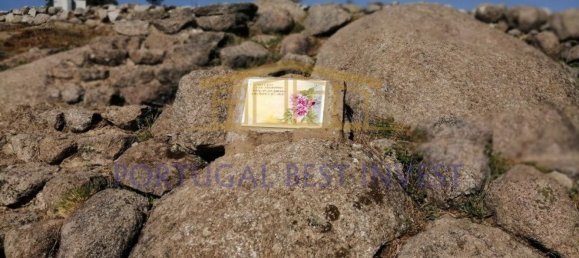 Terrain à Monchique, Portugal 96880m² No. 89957 8