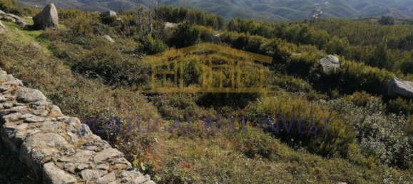 Terrain à Monchique, Portugal 96880m² No. 89957 14