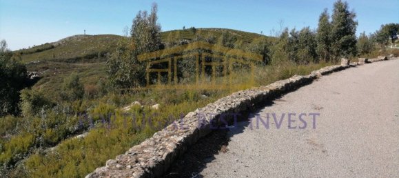 Terrain à Monchique, Portugal 96880m² No. 89957 5