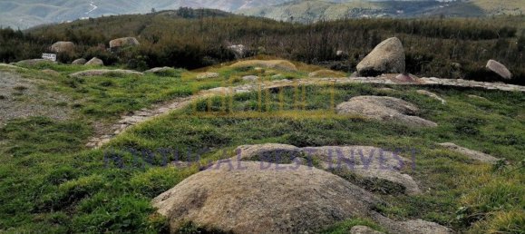 Terrain à Monchique, Portugal 96880m² No. 89957 23