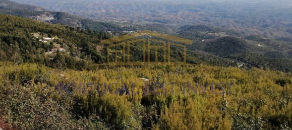 Terrain à Monchique, Portugal 96880m² No. 89957 18