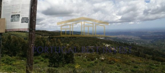 Terrain à Monchique, Portugal 96880m² No. 89957 25