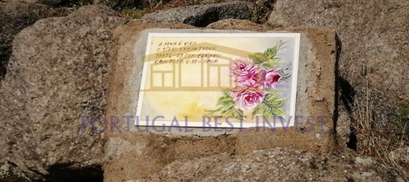 Terrain à Monchique, Portugal 96880m² No. 89957 11