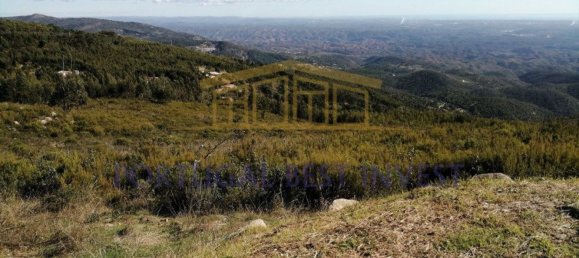 Terrain à Monchique, Portugal 96880m² No. 89957 6