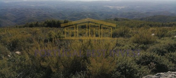 Terrain à Monchique, Portugal 96880m² No. 89957 19