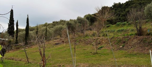 21000m² Hotel in Corfu, Greece No. 5174 11